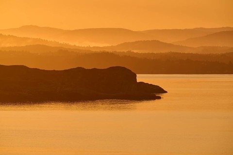 Atmospheric landscape scene at sunrise, landscape in twilight with soft fog, autumn, Bergen, North