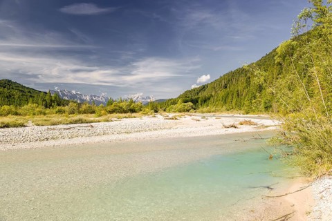 Isar valley nature conservancy area on an early sunny morning. The wild Isar river flows through
