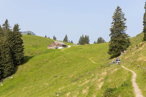 Hiking trail on the Gulmen to the Furgglen alpine farm, Amden, St. Gallen, Switzerland