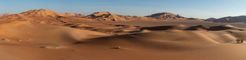 Sand dunes in the Rhub al Khali desert, empty quarter, largest sandy desert in the world, Oman