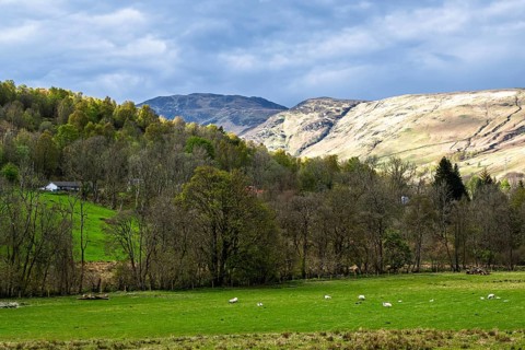 Farm and mountains, Loch Earn, Southern Highlands, Scotland, United Kingdom
