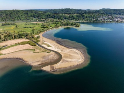 Aerial view of the mouth of the Stockacher Aach at low water, which flows into Lake Überlingen. The