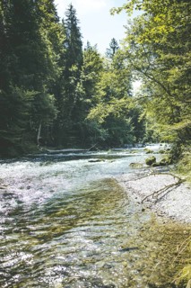 Mangfall near Bruckmühl, district of Miesbach, Upper Bavaria, Bavaria, Germany