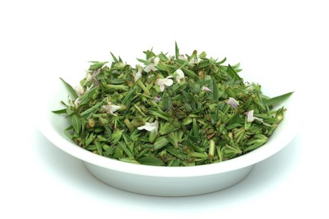 Summer savory (Satureja hortensis), also garden savory, true savory, pepperwort, family of the