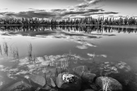 Cloud reflection in a forest lake, Norrbotten, Lapland, Sweden, September 2019