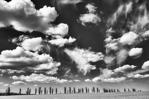 Cloudy sky over a row of poplars, flatness, Saxon Switzerland, Saxony, Germany, May 2024