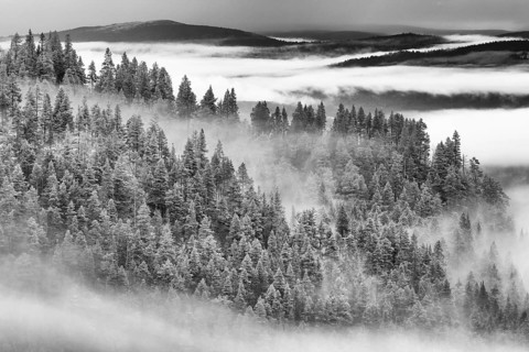 Foggy weather in the mountains, Alvdal Vestfjell, Hedmark, Innlandet, Norway, November 2025