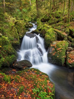 Cascades of the pond stream in the pond gorge in autumn, pond gorge waterfall, moss-covered rocks