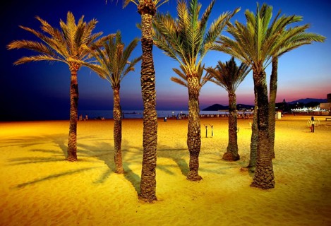 Benidorm, ESP, 28.08.09 - Evening at Playa Levante in Benidorm, illuminated palm trees on the