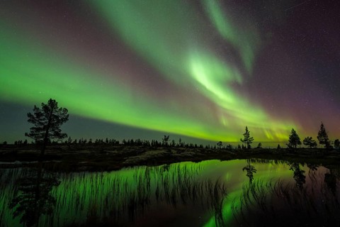 Northern Lights (Aurora borealis) reflected in a mountain lake, Norrbotten, Lapland, Sweden,