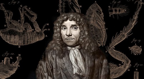 Antonie Philips van Leeuwenhoek, 1632 – 1723, a Dutch microbiologist and microscopist