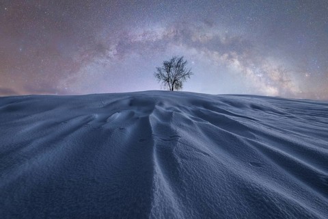 A solitary tree stands on a snow-covered hill in Iceland, beneath a mesmerizing, star-filled sky