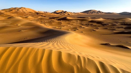 Sand dunes in the Rhub al Khali desert, empty quarter, largest sandy desert in the world, Oman