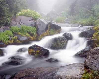 A serene mountain stream cascades over moss-covered rocks, surrounded by lush greenery and