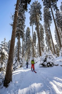 Ski tourers and snowshoe hikers in a snowy winter forest, ascent to the Teufelstättkopf,