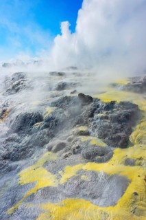 Prince of Wales and Pohutu geysers erupting, Te Puia Thermal Valley, Rotorua, Bay of Plenty, North