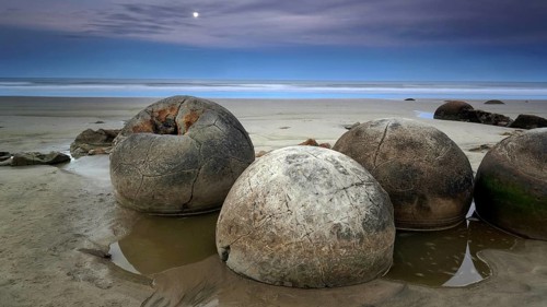 New Zealand, Moeraki Boulders, Otago, Moeraki, stone spheres, South Island, New Zealand