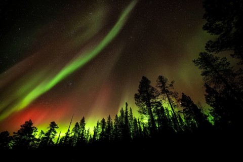 Northern Lights (Aurora borealis), Norrbotten, Lapland, Sweden, October 2022