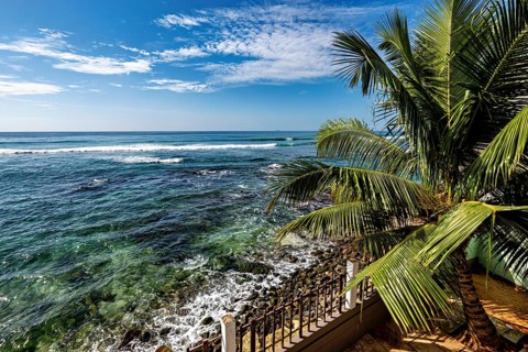 Tropical coastline with palm trees, calm sea and sunny blue sky, palm trees on the coast of the
