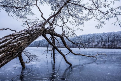 Frozen Schlachtensee, Zehlendorf, Berlin, Germany