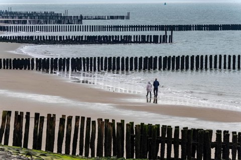Coastal protection, through wooden posts, paalhoofden, on the beach, breakwater, the piles, some of