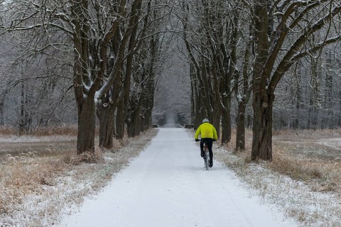 Mountain biker on snowy alley, Mönchbruch, Rüsselsheim am Main, Hesse, Germany
