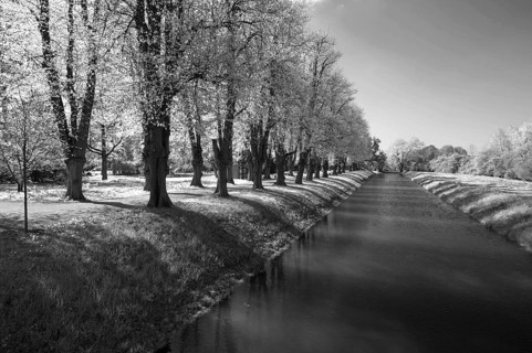 Bothmar Castle Park with avenue of lime trees (Tilia platyphyllos) and moat, black and white,