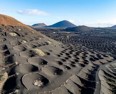 Typical drywall viticulture in volcanic landscape, on volcanic ash, lapilli, aerial view, vines, La
