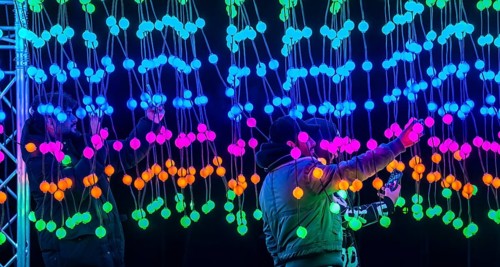 Park lights, winter event, in the Grugapark in Essen, many different light installations, across