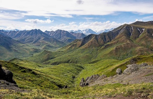 Tundra and mountainous landscape of the Alaska Range, Sable Pass, Denali National Park and