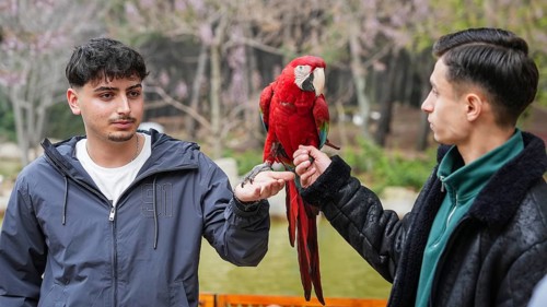 GAZIANTEP, TURKEY - APRIL 18, 2026: Visitors enjoy an early spring stroll at Gaziantep Wildlife
