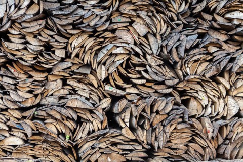 Pile of beech wood, Germany