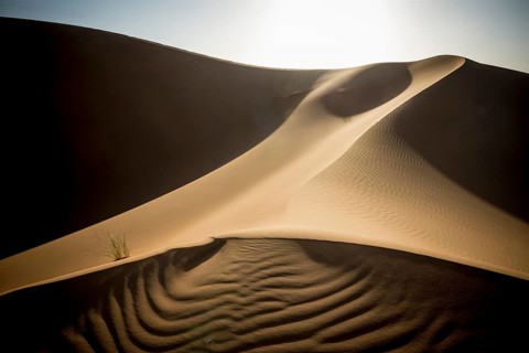 Sand dunes, sunset, near Merzouga, Meknès-Tafilalet region, Erg Chebbi, northern Sahara, Morocco