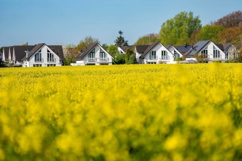 Residential development, residential area, single-family houses, in the south of Essen, living in