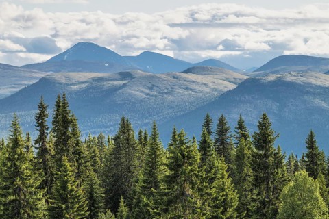 Cloudy sky over mountains, Alvdal Vestfjell, Hedmark, Innlandet, Norway, June 2025