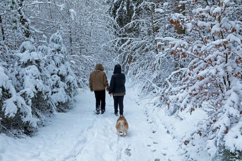 Two woman taking a walk with a dog through a snowy forest, winter, snow, Sieversen, Samtgemeinde