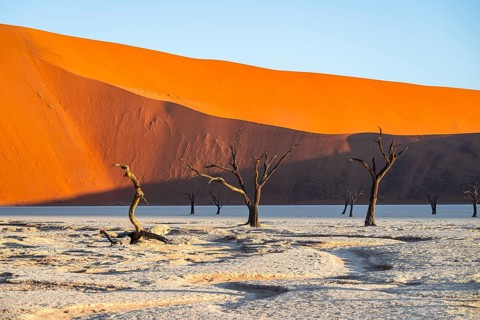 Dead camel thorn trees (Vachellia erioloba), red sand dunes, white salt pan, Dead Vlei, Sossusvlei,