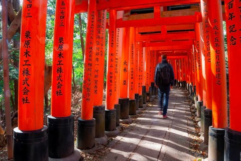Visitors on a journey through hundreds of red traditional torii gates, Fushimi Inari-taisha, Shinto