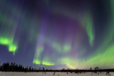 Northern Lights (Aurora borealis), Muddus National Park, Laponia World Heritage Site, Norrbotten,