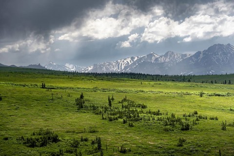 Tundra and mountain landscape with dramatic cloudy sky, Denali National Park, Alaska, USA