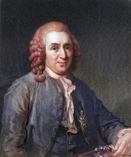 Carl von Linne alias Linnaeus, 1707-1778, Swedish botanist and explorer. From the book Gallery of