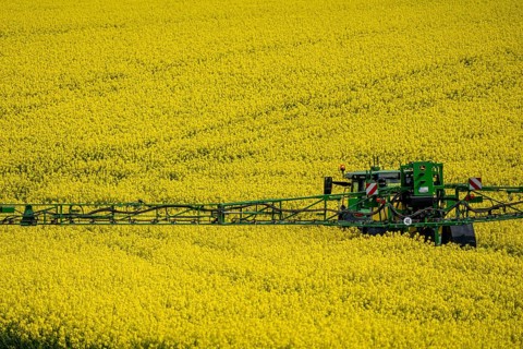 Agriculture, rapeseed field in full bloom, farmer sprays the field with a John Deere M952 trailer