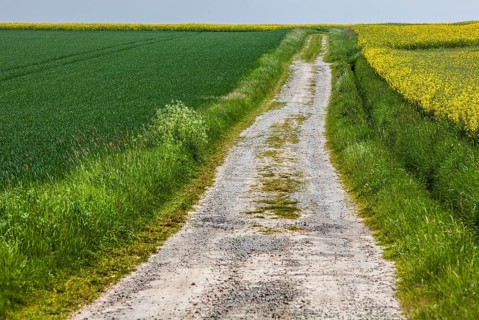 Landscape with a way