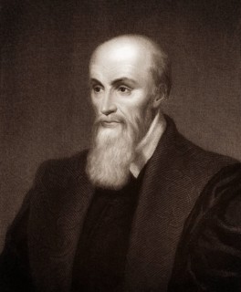 Michel de l'Hôpital or l'Hospital, 1507-1573, a French statesman