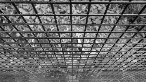 Monochromatic image showcasing an abstract view of a metal grid, with a focus on geometric lines