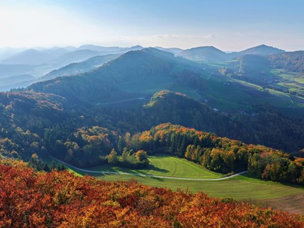 View of an autumnal forest from the Gisliflue, behind the Jurassic foothills with the Wasserfluh,