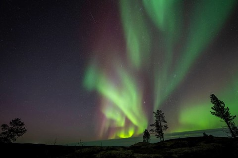 Northern Lights (Aurora borealis), Norrbotten, Lapland, Sweden, September 2024