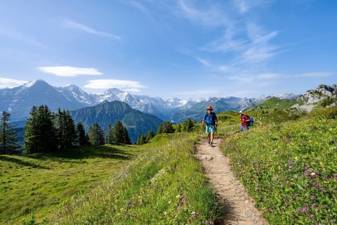 Hikers on a hiking trail on the Schynige Platte, picturesque mountain landscape, mountain panorama