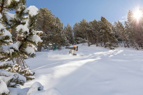 Two snowboarders enjoy a thrilling freeride through fresh powder in a backcountry setting. The