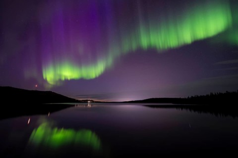 Northern Lights (Aurora borealis) reflected in a forest lake, Gällivare, Norrbotten, Lapland,